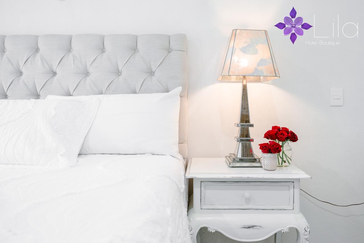 Lila Hotel Atotonilco  Luaran gambar