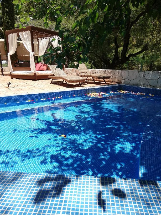 Lila Hotel Atotonilco  Luaran gambar